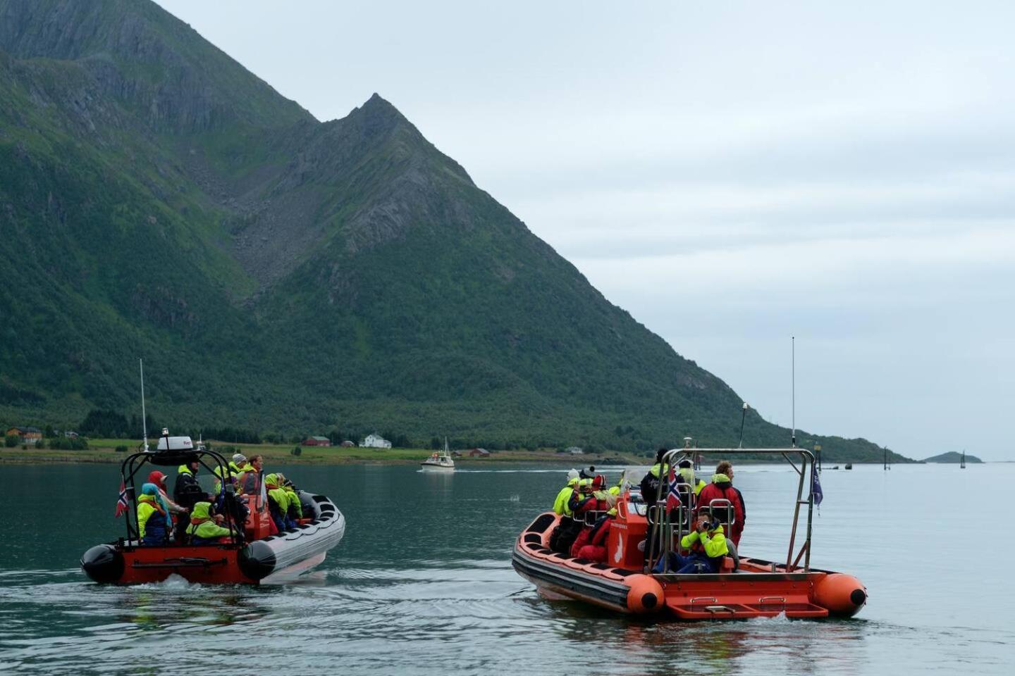 Leilighet Med Fantastisk Utsikt Henningsvaer Bagian luar foto